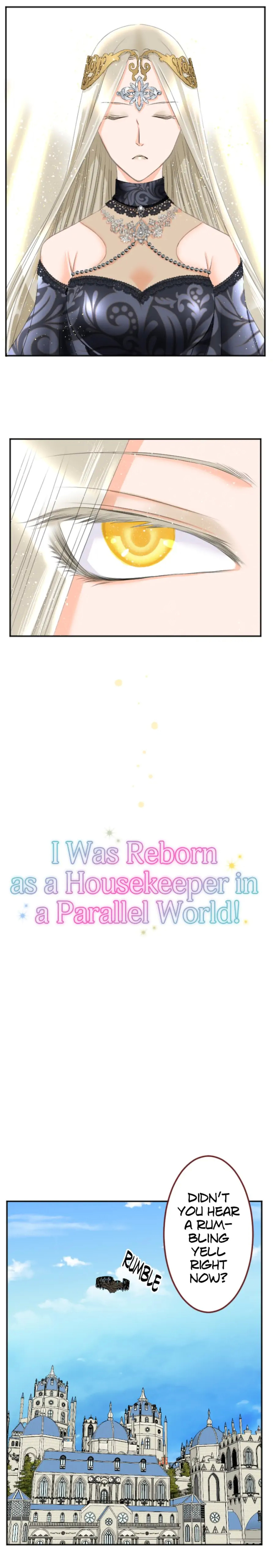 I was Reborn as a Housekeeper in a Parallel World! chapter 63 - page 3