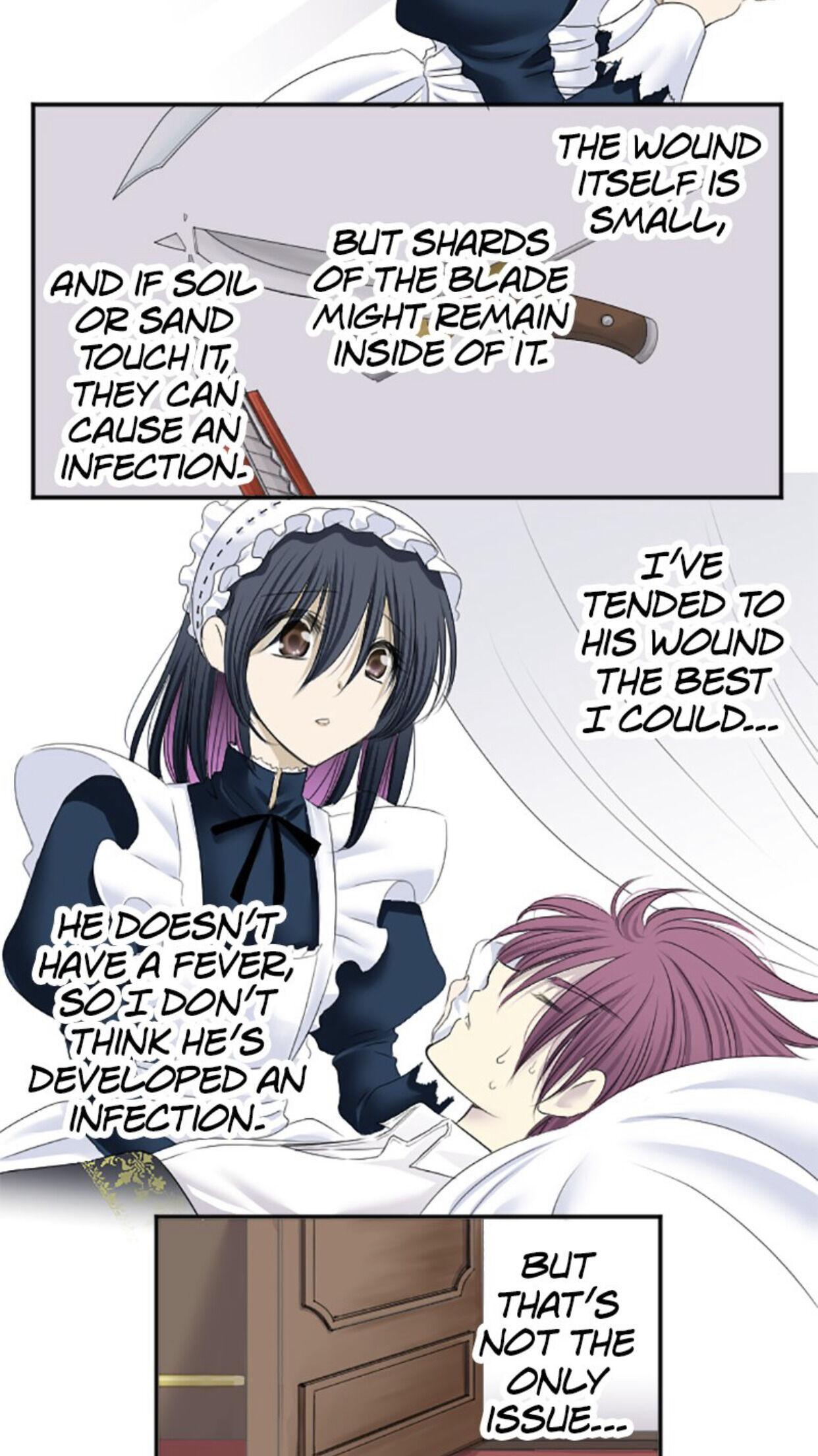 I was Reborn as a Housekeeper in a Parallel World! chapter 10 - page 17