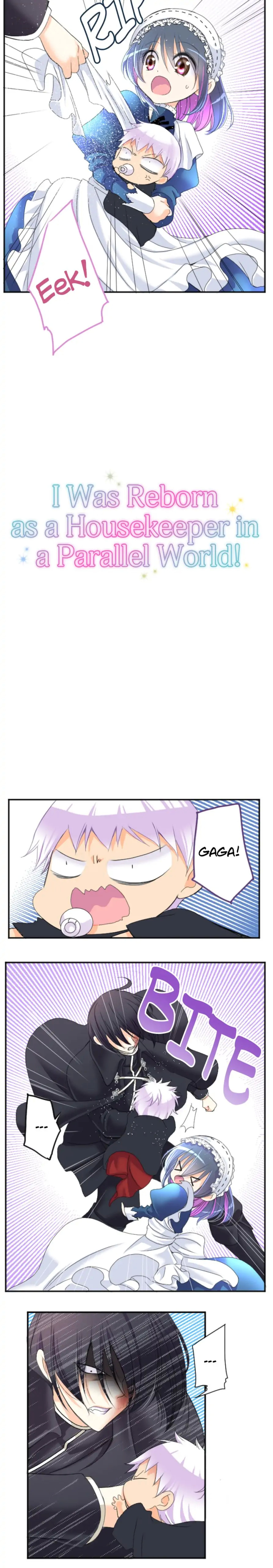 I was Reborn as a Housekeeper in a Parallel World! chapter 67 - page 2
