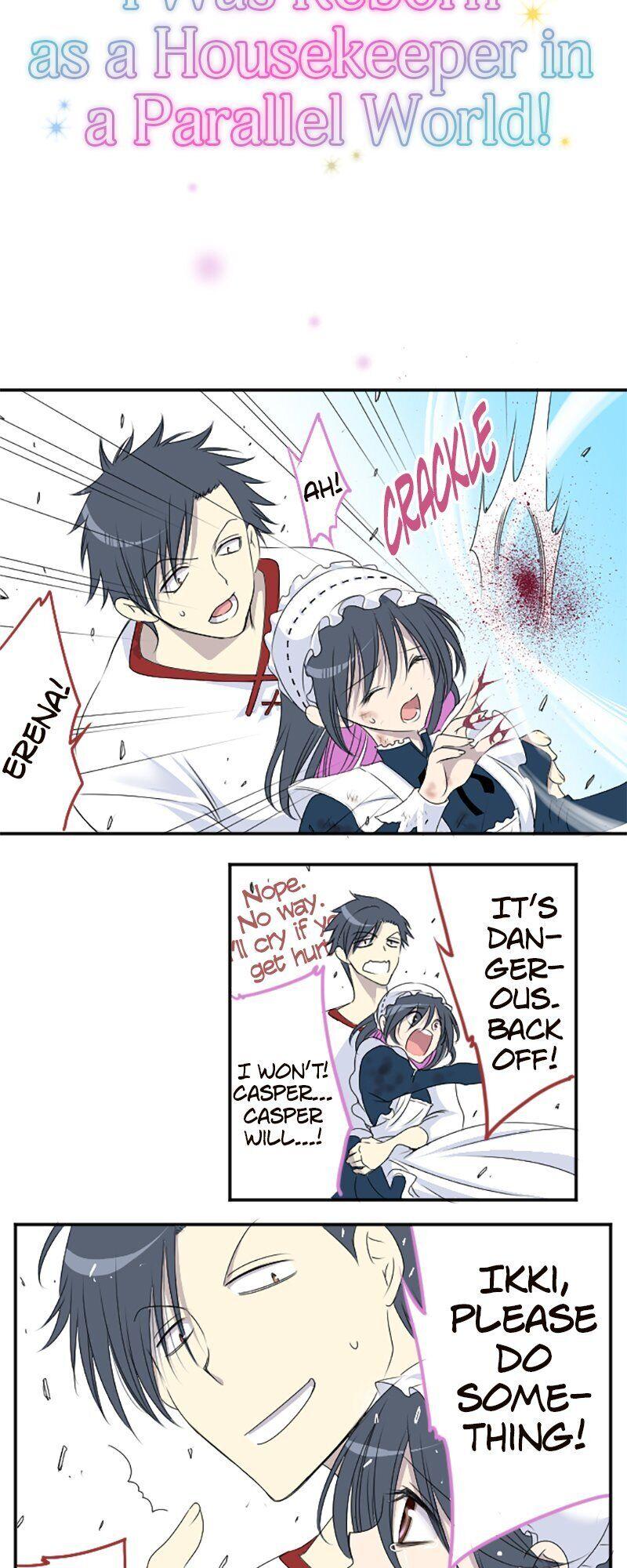 I was Reborn as a Housekeeper in a Parallel World! chapter 17 - page 3