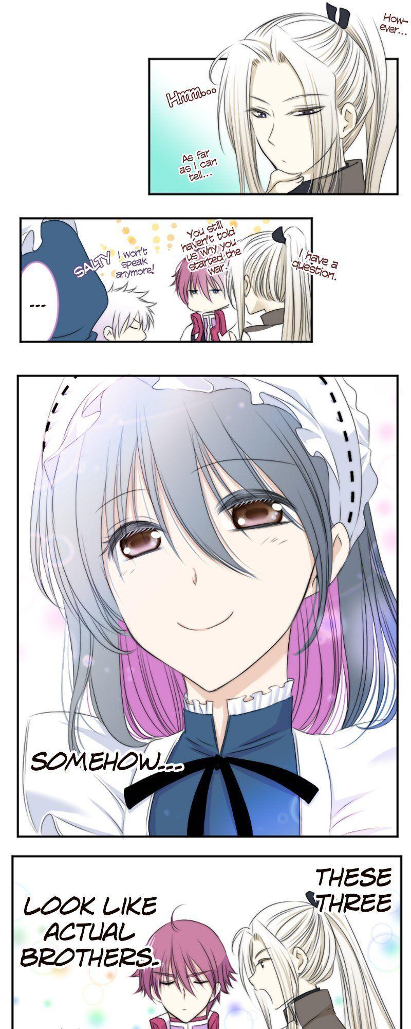 I was Reborn as a Housekeeper in a Parallel World! chapter 20 - page 28