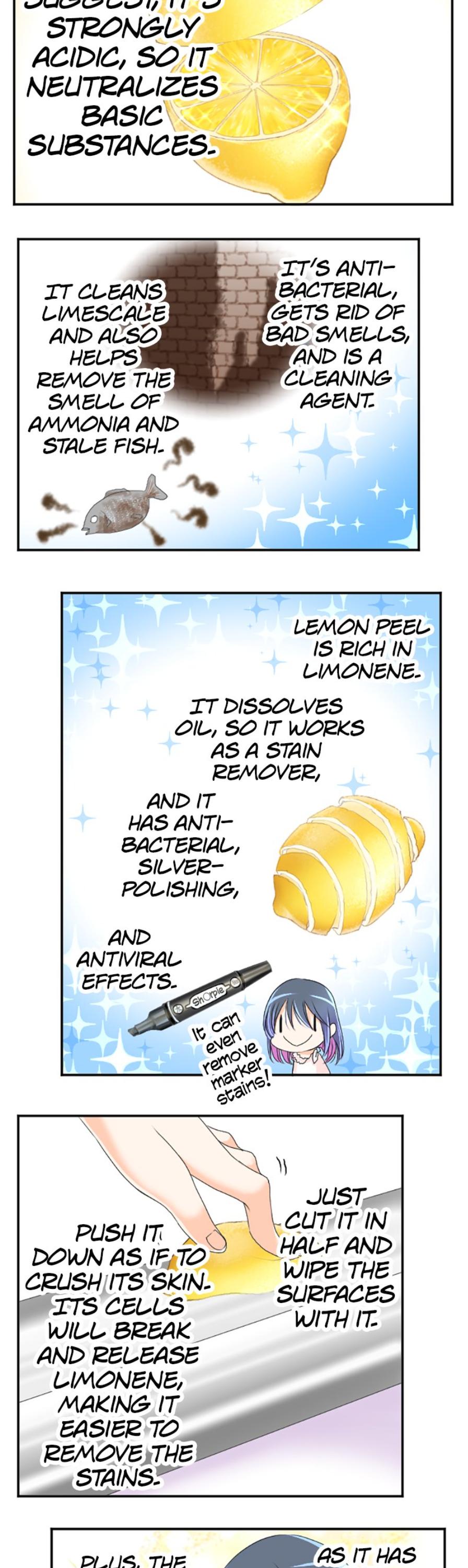 I was Reborn as a Housekeeper in a Parallel World! chapter 47 - page 13
