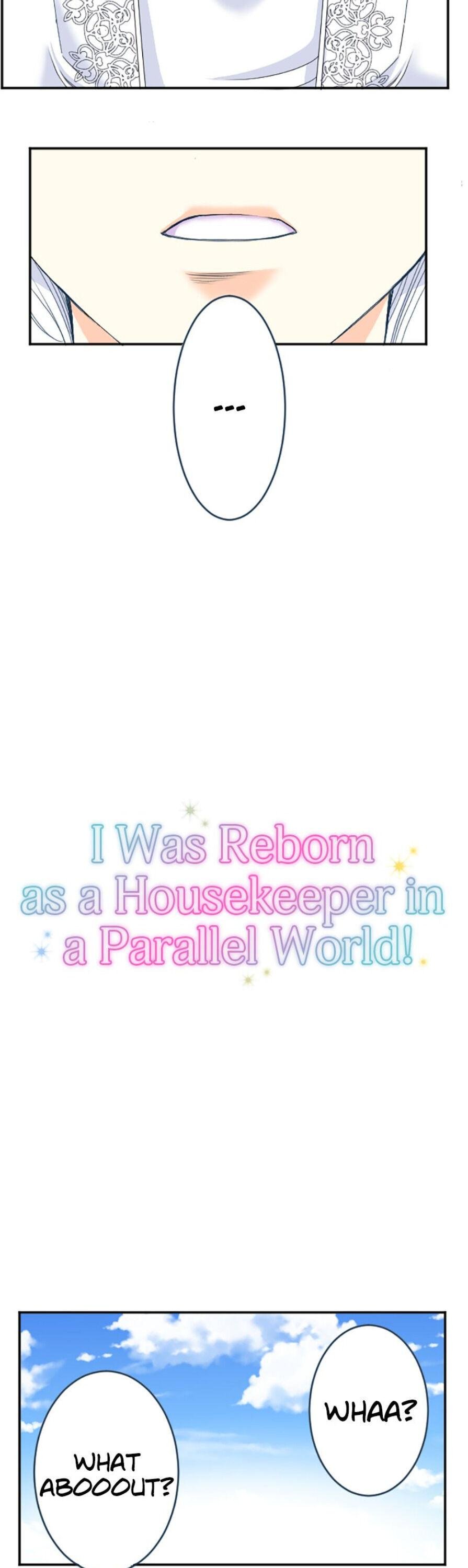 I was Reborn as a Housekeeper in a Parallel World! chapter 53 - page 2