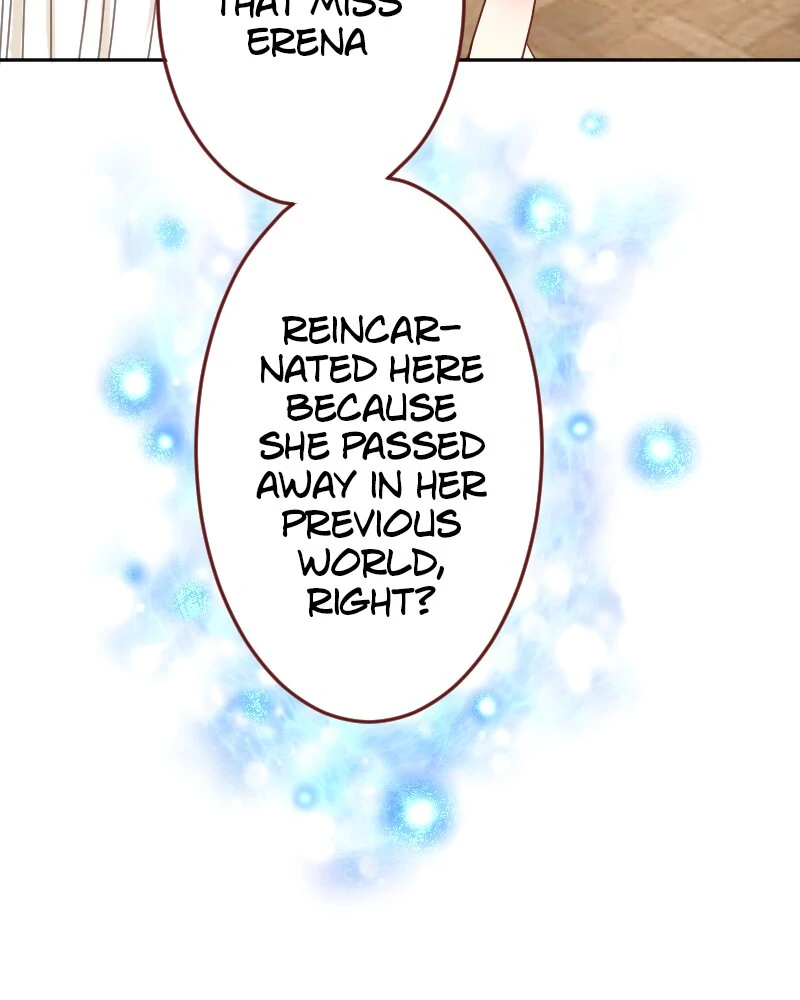 I was Reborn as a Housekeeper in a Parallel World! Chapter 209 - page 28