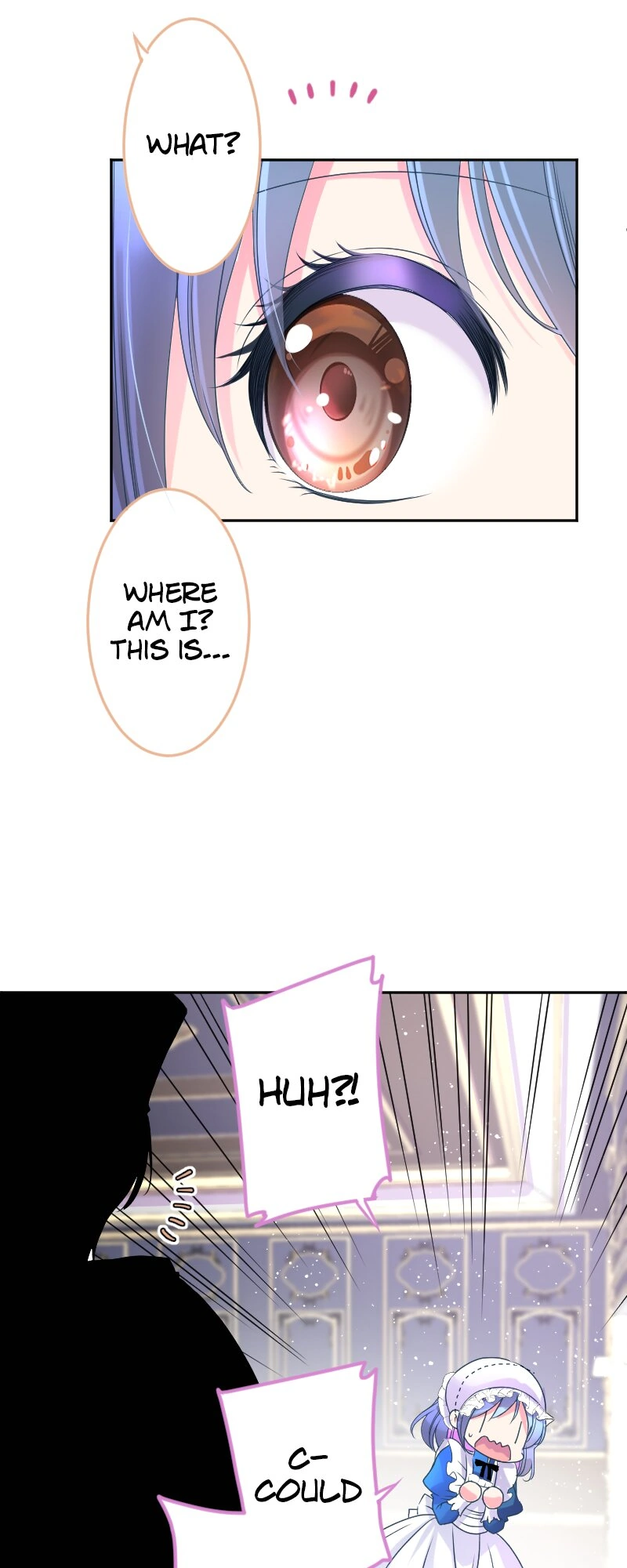 I was Reborn as a Housekeeper in a Parallel World! Chapter 188 - page 11