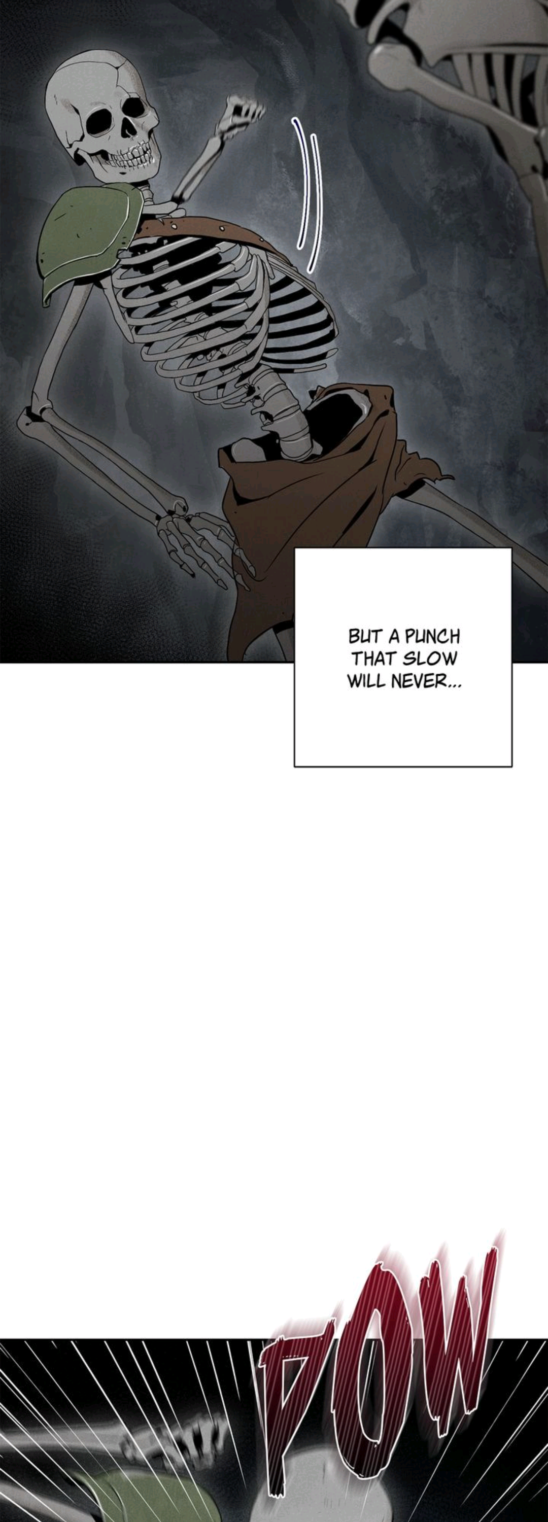 The Skeleton Soldier Failed to Defend the Dungeon Chapter 47 - page 5