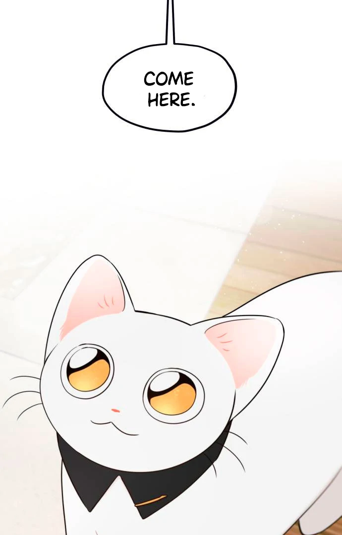 Obssesed butler Chapter 14 - page 43