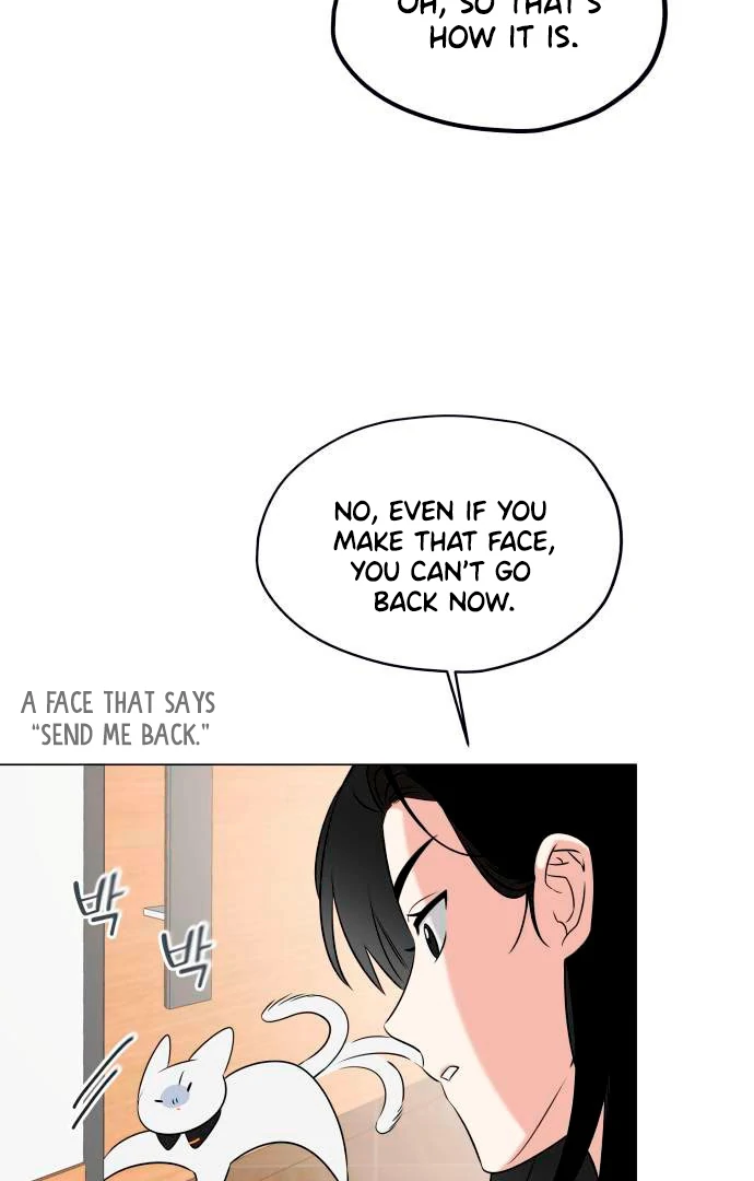 Obssesed butler Chapter 13 - page 42