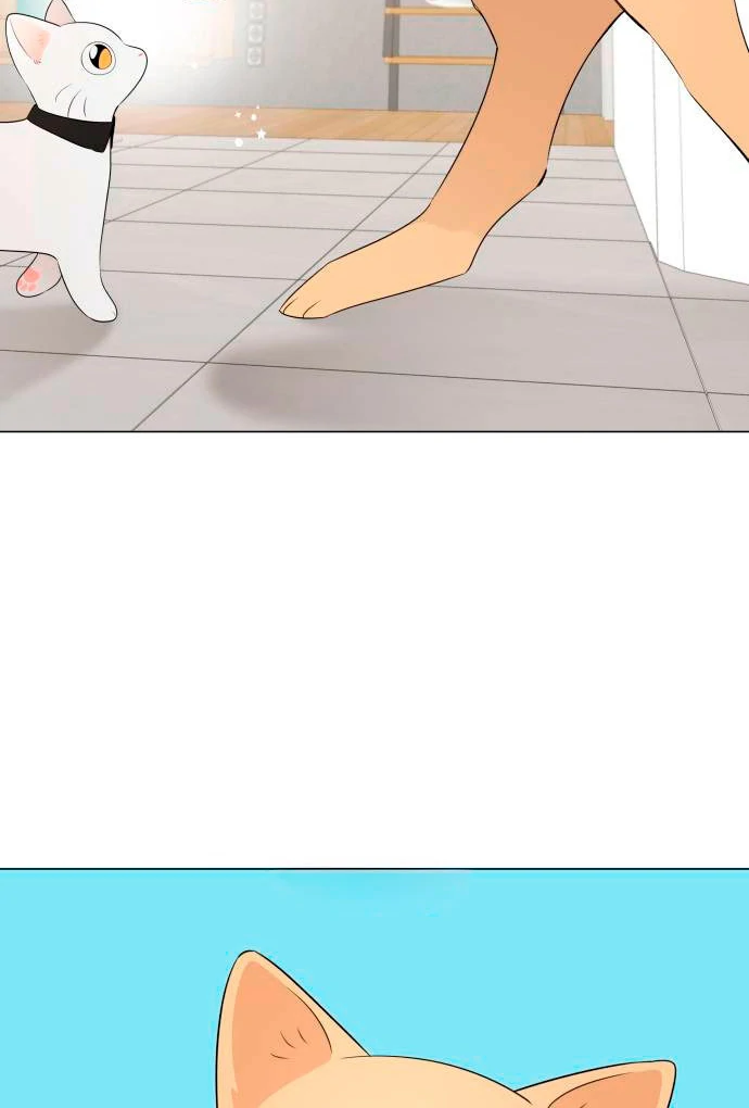 Obssesed butler Chapter 13 - page 47