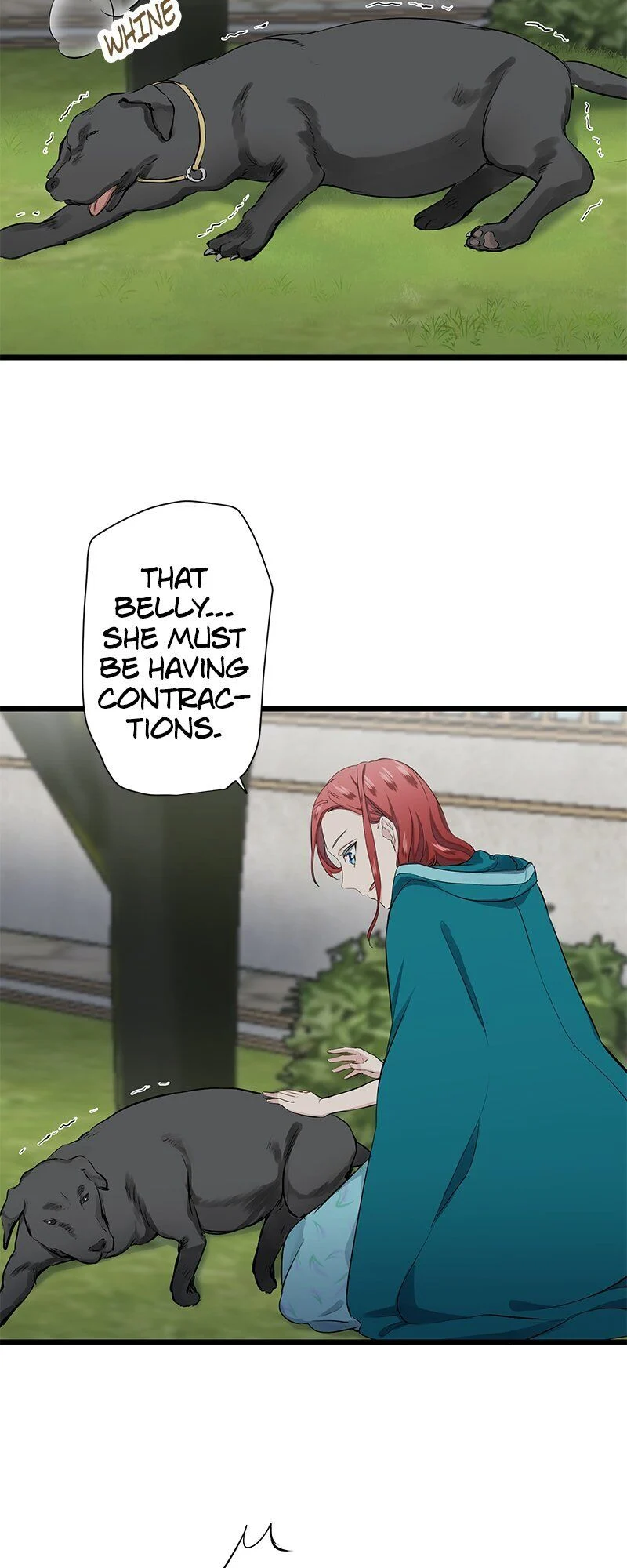 Nulliitas: The Half-Blood Royalty chapter 28 - page 13