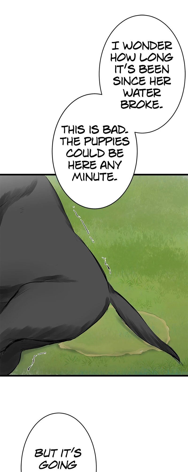 Nulliitas: The Half-Blood Royalty chapter 28 - page 16