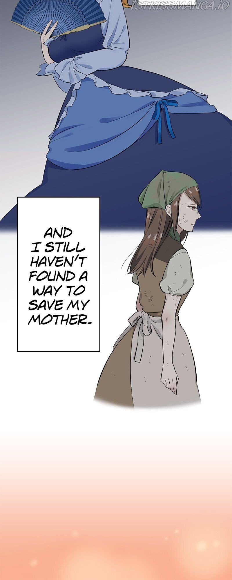 Nulliitas: The Half-Blood Royalty chapter 34 - page 4