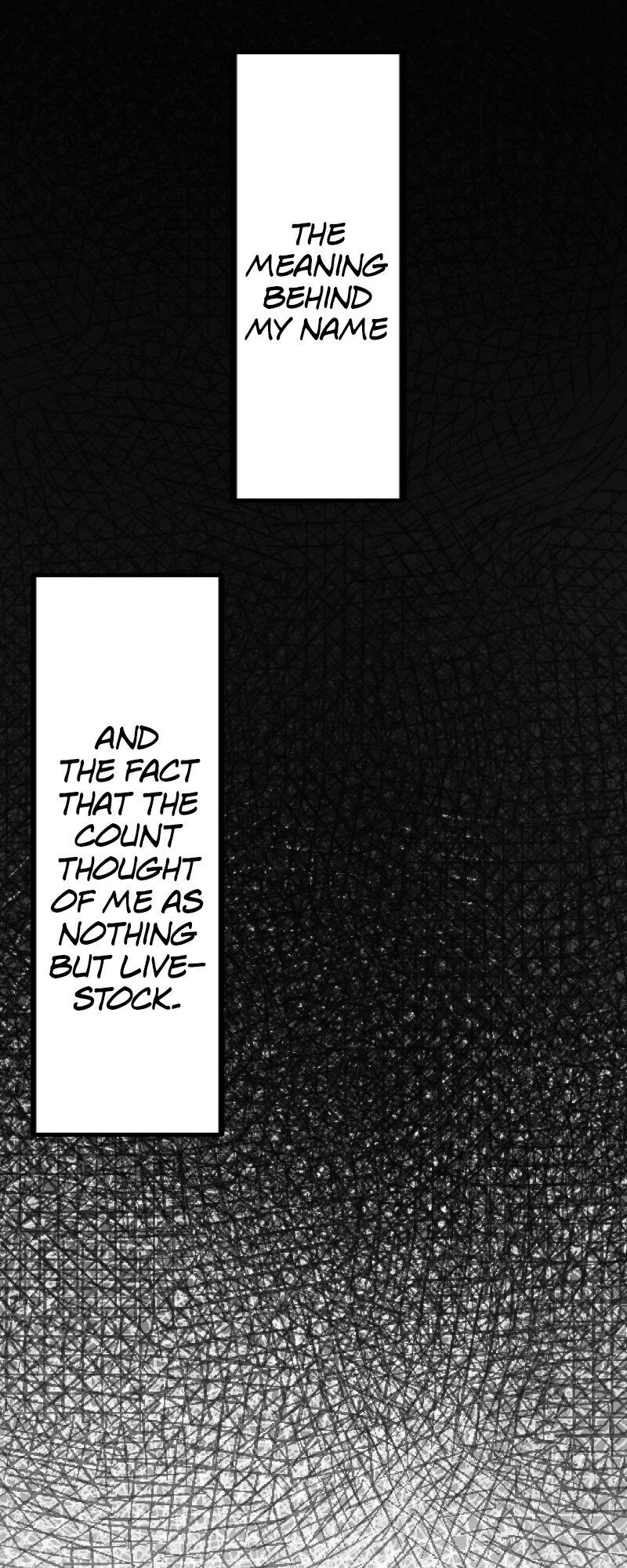Nulliitas: The Half-Blood Royalty chapter 5 - page 42