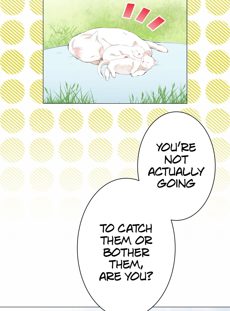 Nulliitas: The Half-Blood Royalty Chapter 182 - page 38