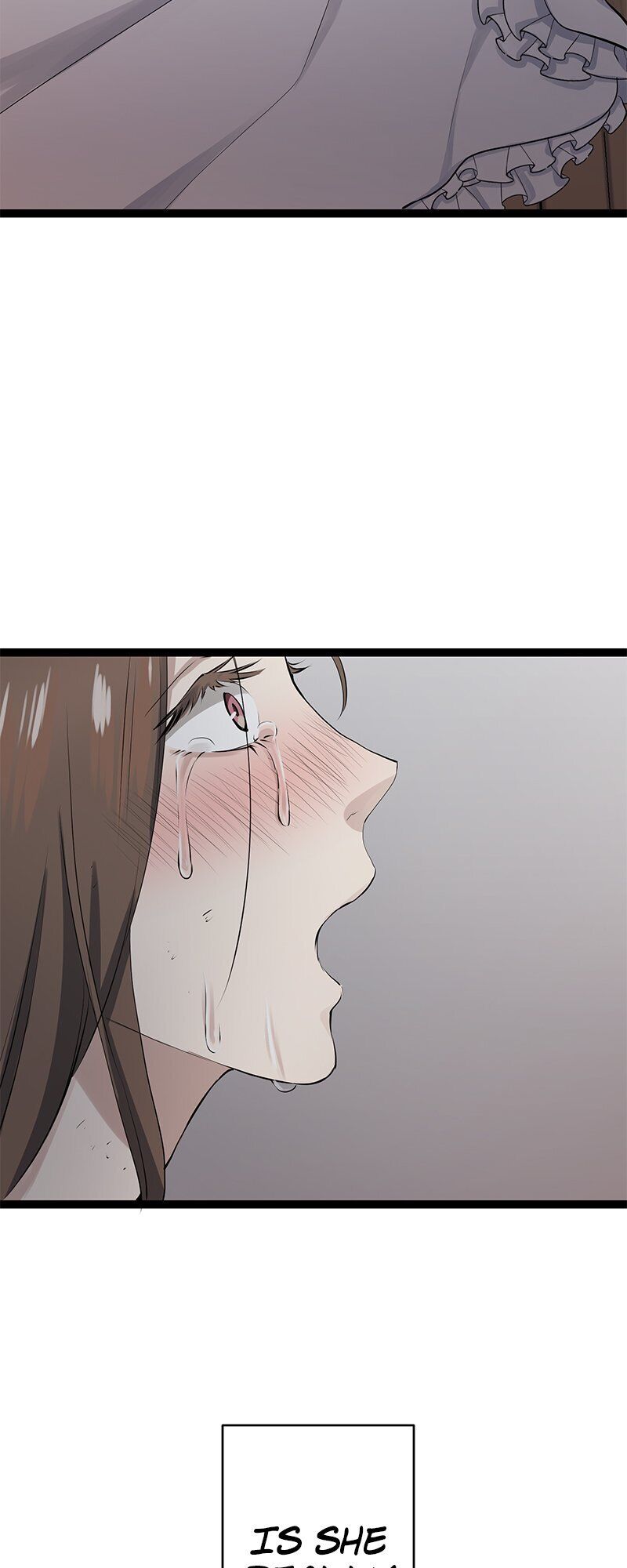 Nulliitas: The Half-Blood Royalty chapter 16 - page 36