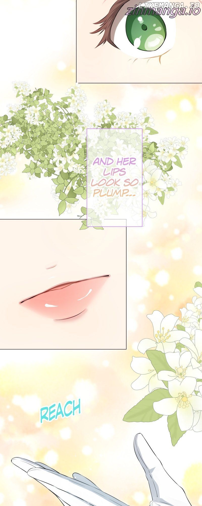 Nulliitas: The Half-Blood Royalty Chapter 145 - page 47