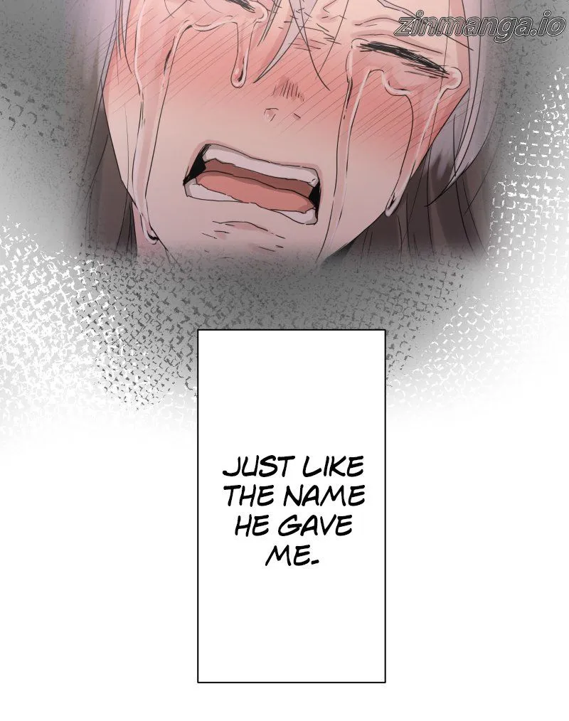 Nulliitas: The Half-Blood Royalty Chapter 139 - page 30