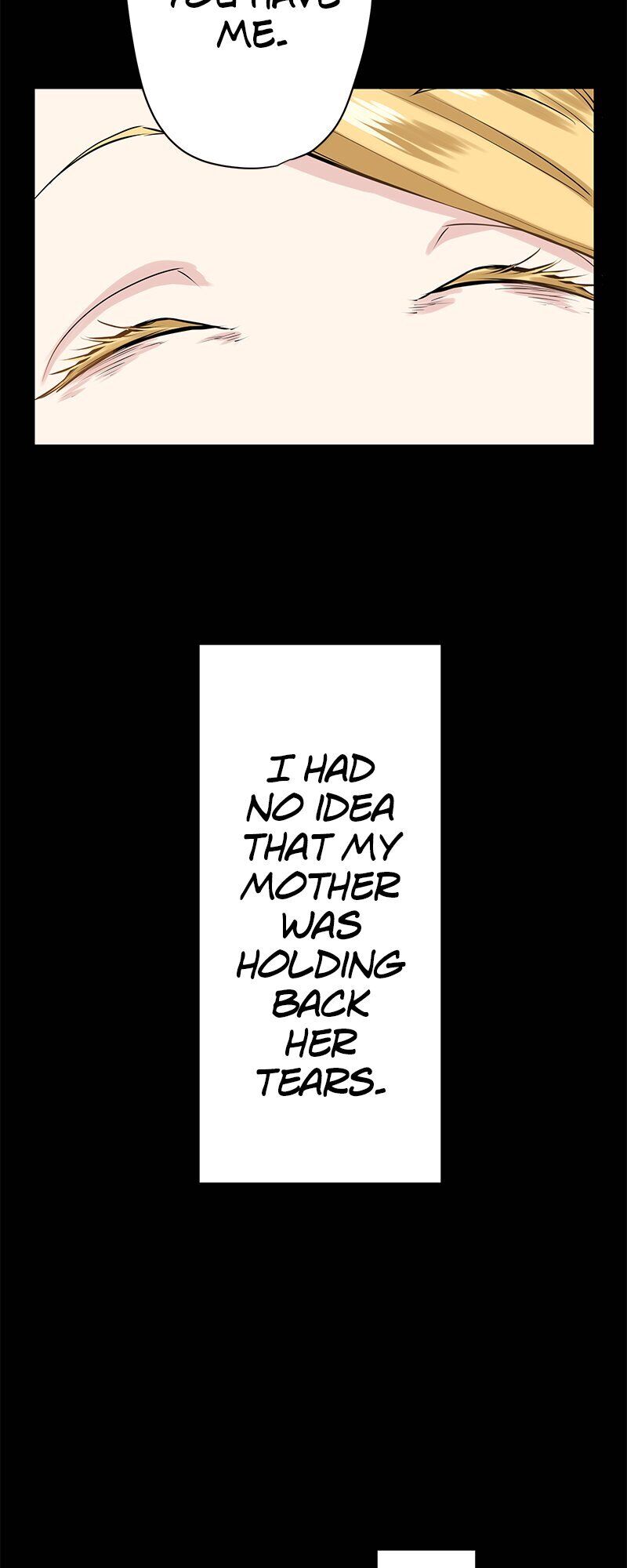 Nulliitas: The Half-Blood Royalty chapter 18 - page 11